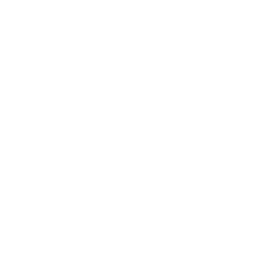 Icon Icon