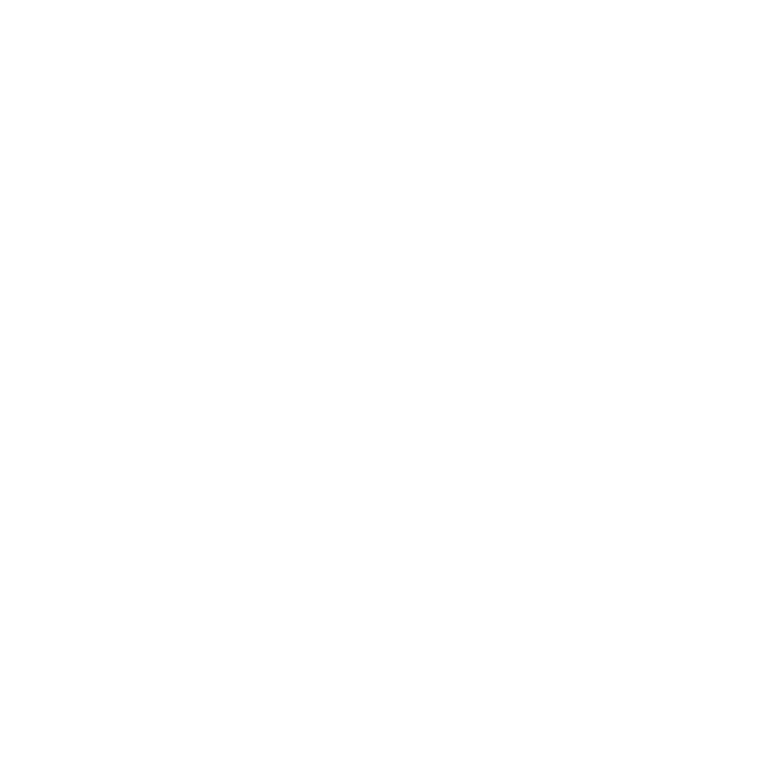 Icon Icon