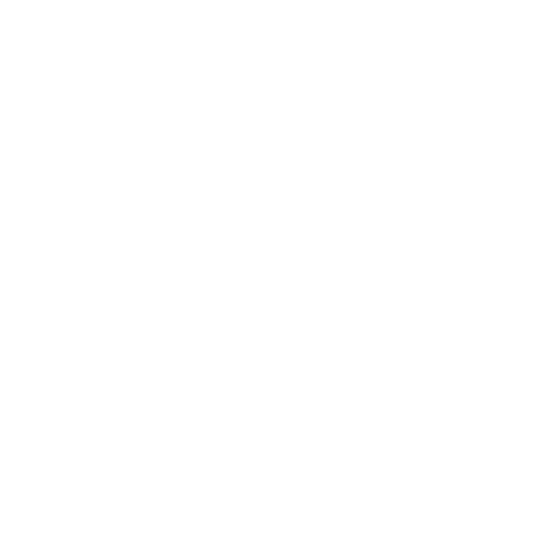 Icon Icon