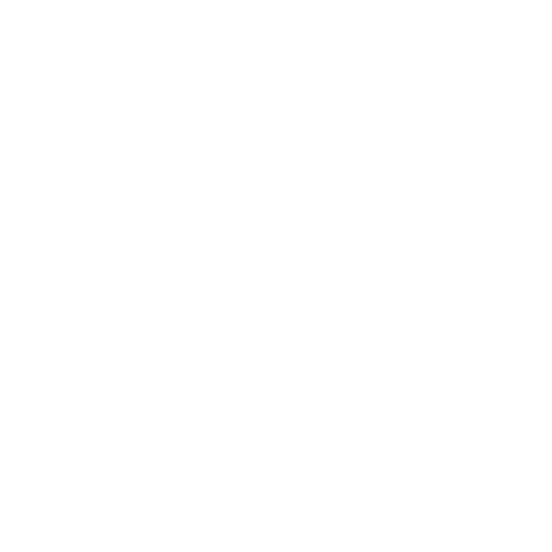 Icon Icon